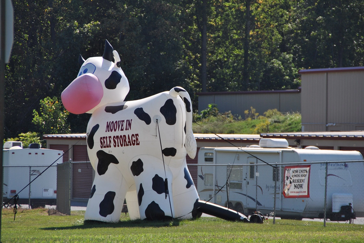 Moove in storage exterior and inflatable cow